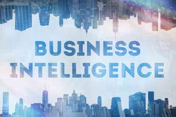 BI (Business Intelligence)