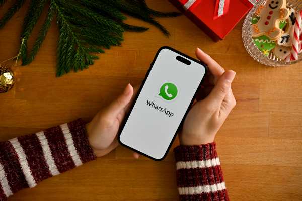 Sistema WhatsApp para Empresas: Como Dominar o Mercado