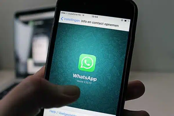 gestão de whatsapp business