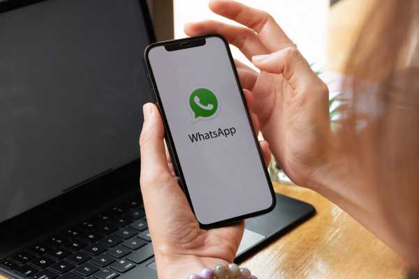Como Fazer um Chatbot para WhatsApp: Tutorial