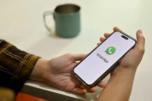 WhatsApp Comercial: Criando seu Próprio Bot