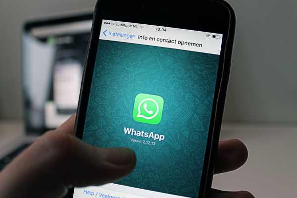 como salvar todos os contatos de uma vez no whatsapp